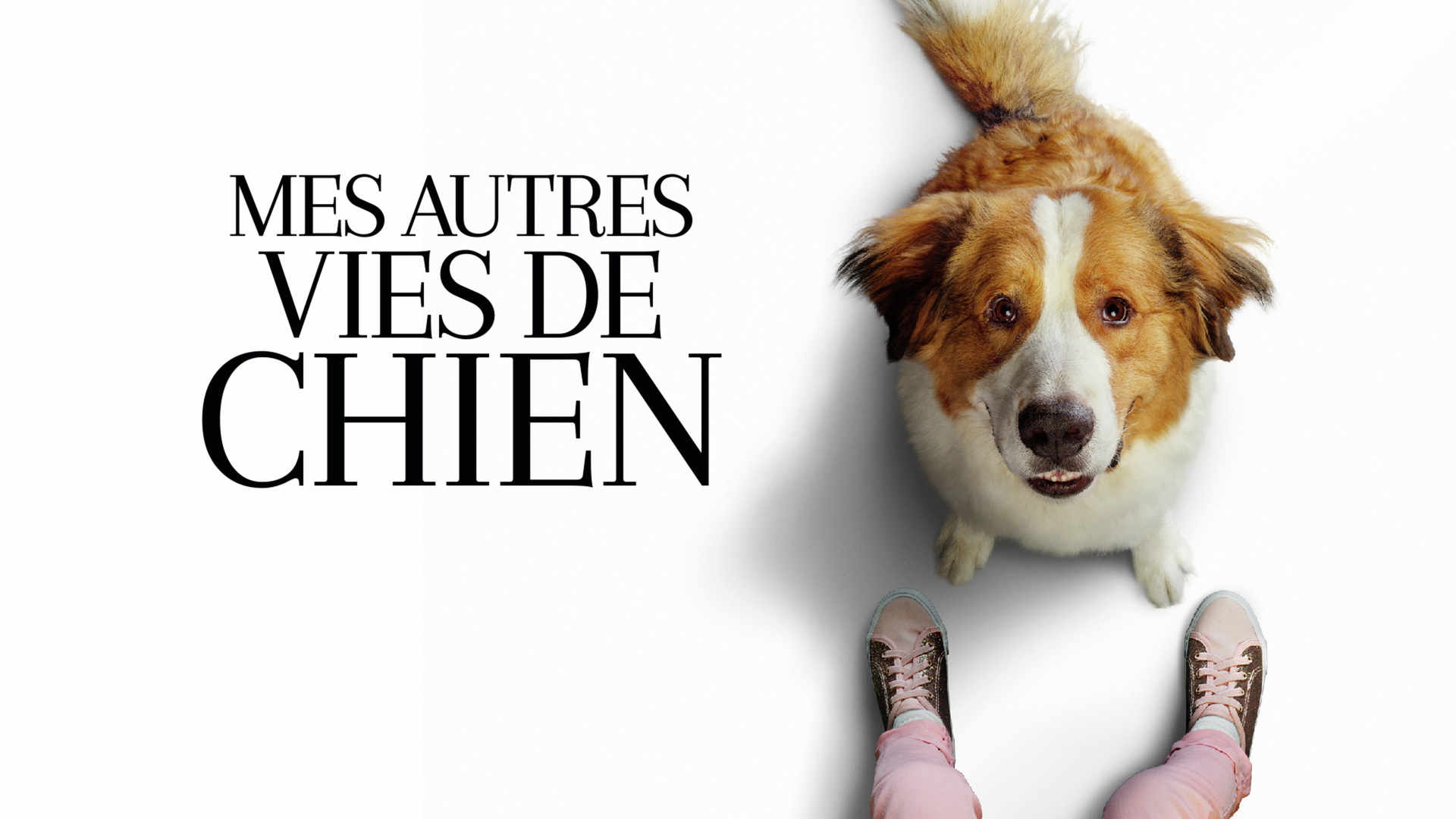 Mes Autre Vies De Chien Mes autres vies de chien
